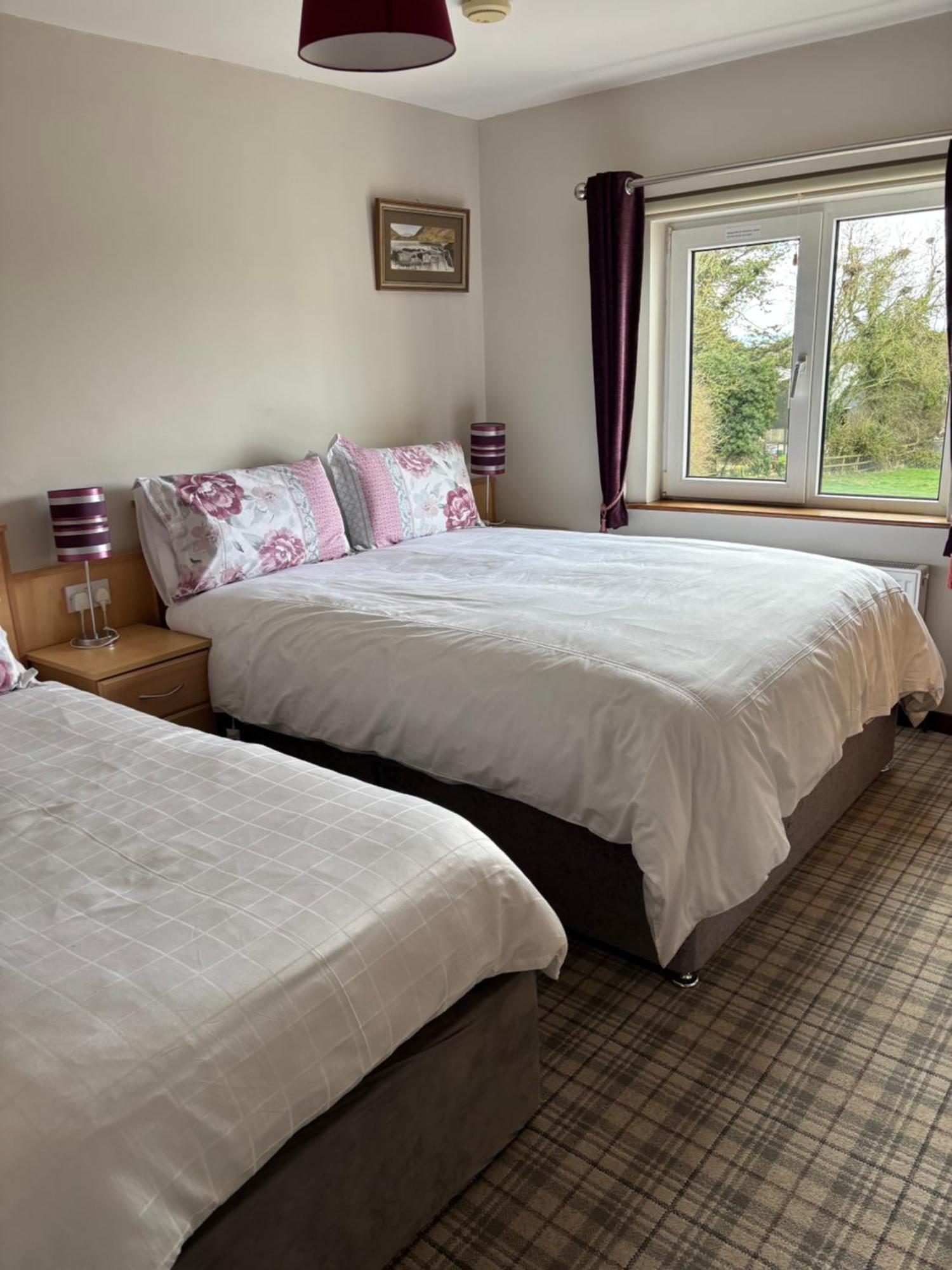 Ballindrum Farm B&B Athy Eksteriør bilde