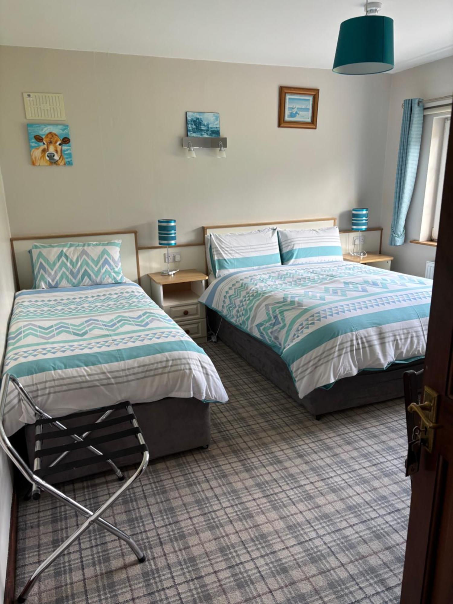 Ballindrum Farm B&B Athy Eksteriør bilde