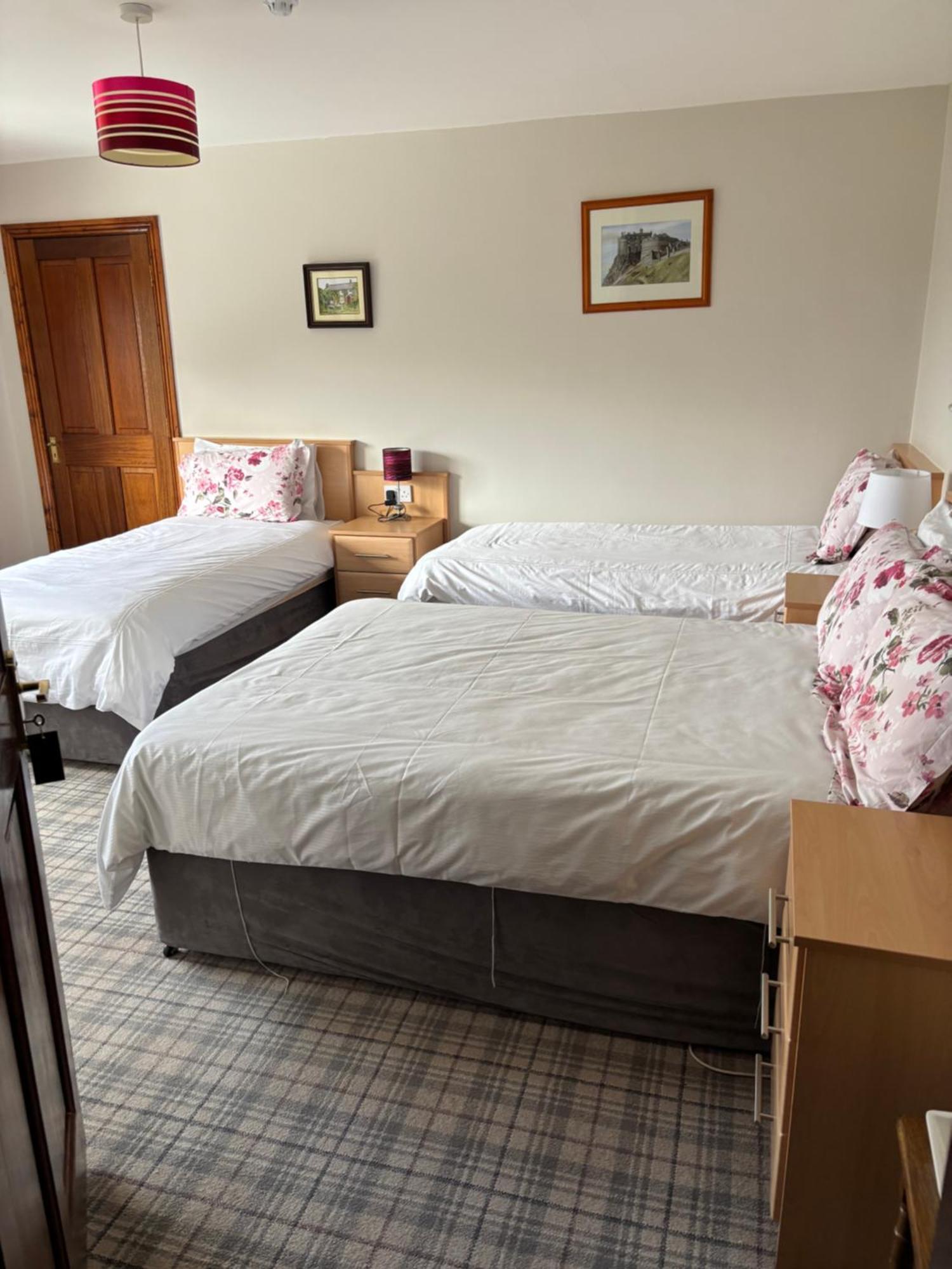 Ballindrum Farm B&B Athy Eksteriør bilde