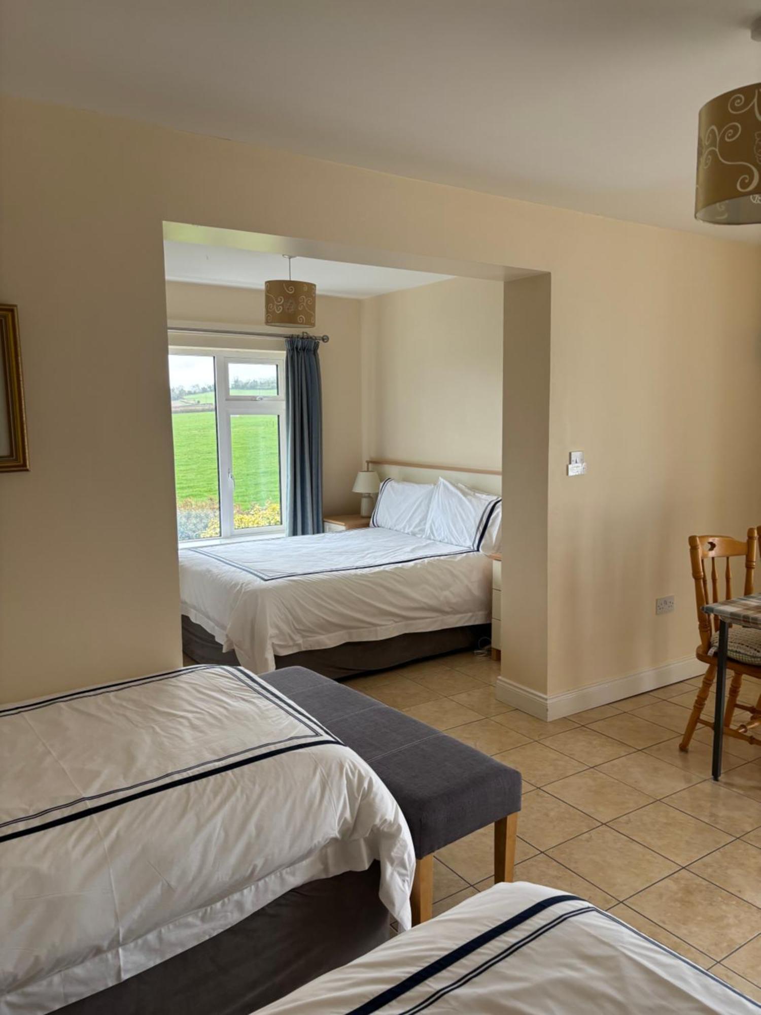 Ballindrum Farm B&B Athy Eksteriør bilde
